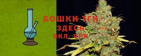 индика Верея