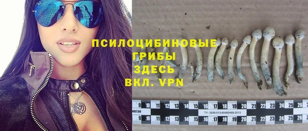 эйфоретик Вязьма