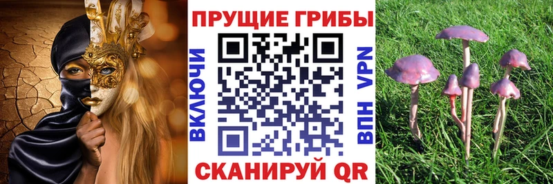 Галлюциногенные грибы прущие грибы Заречный